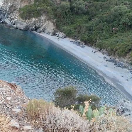 Velanidia Window To The Aegeanヴィラ エクステリア 写真