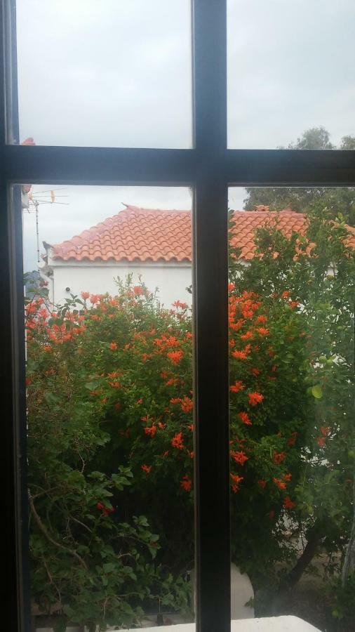 Velanidia Window To The Aegeanヴィラ エクステリア 写真