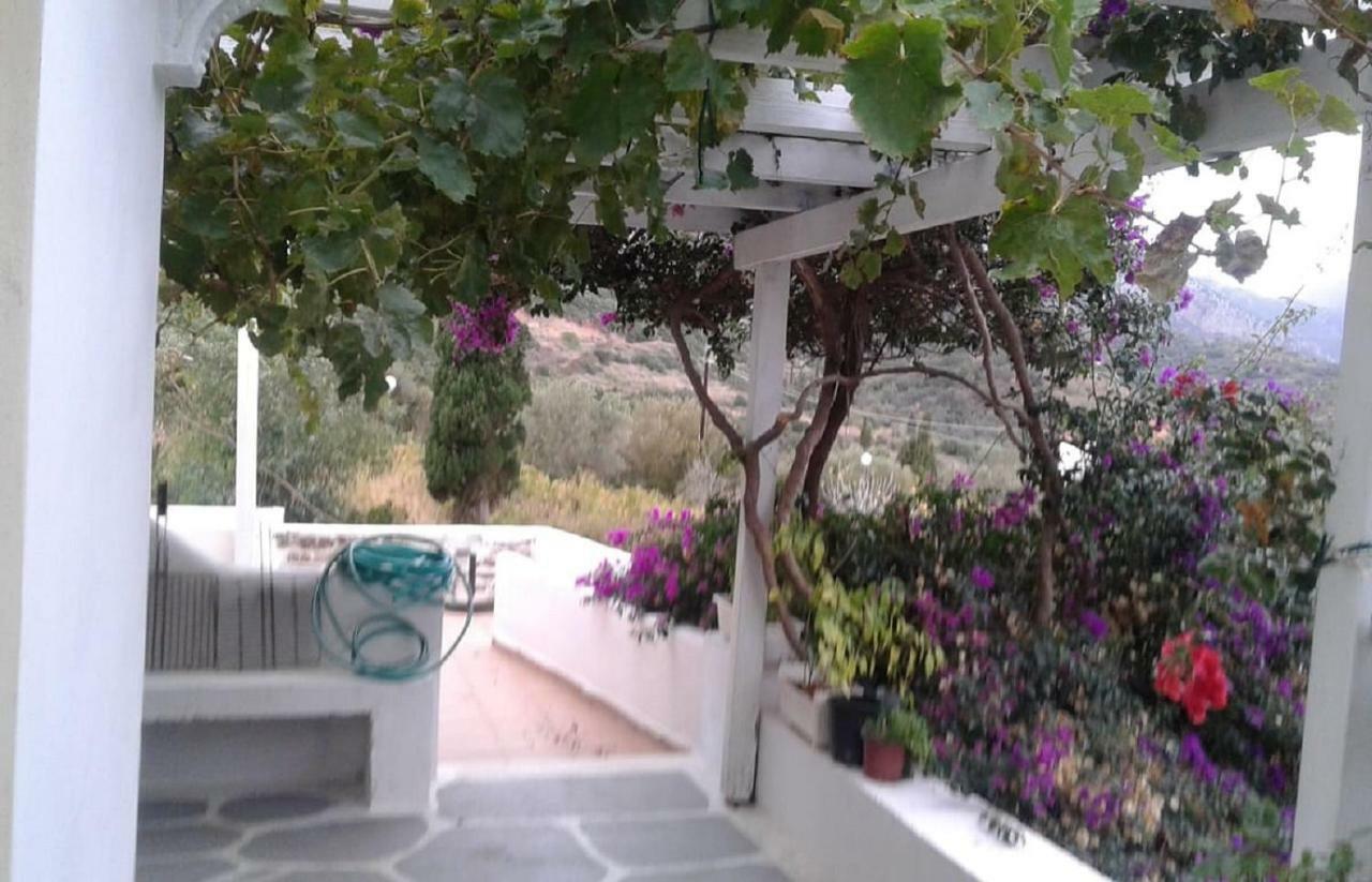 Velanidia Window To The Aegeanヴィラ エクステリア 写真